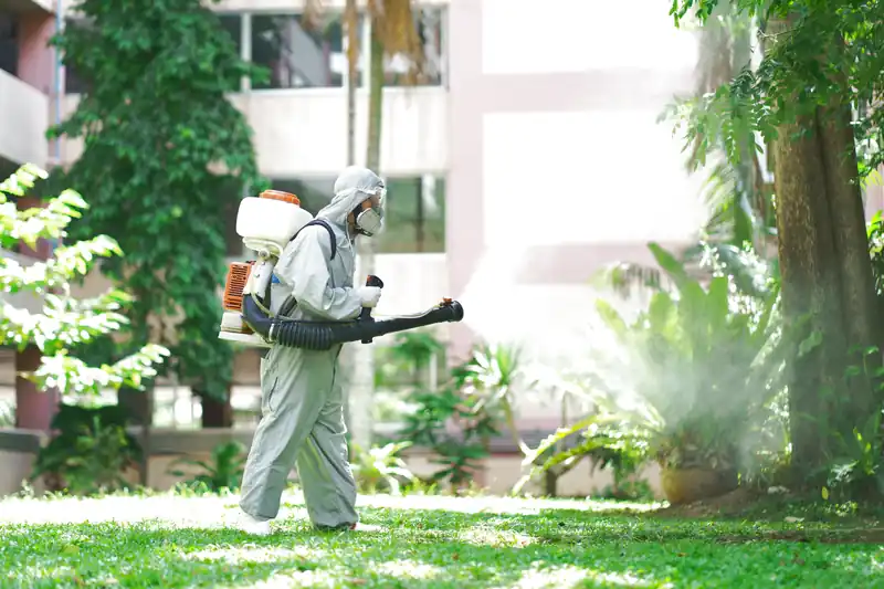 Dịch vụ diệt ruồi Đà Nẵng