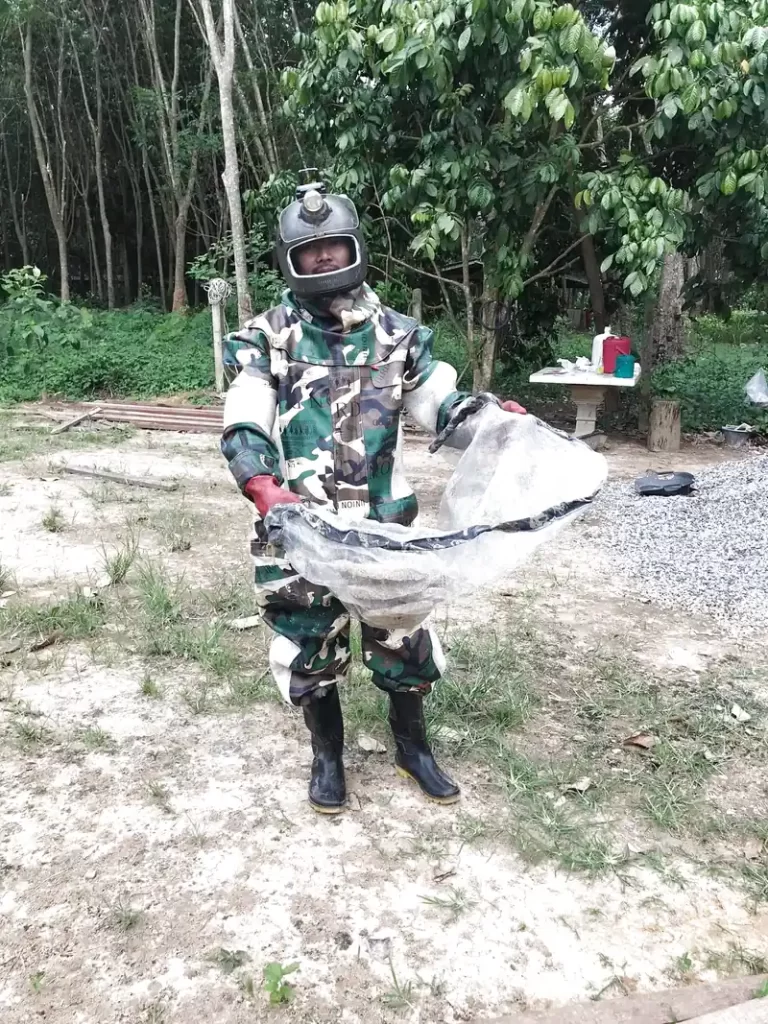 dich vụ bắt ong Đà Nẵng