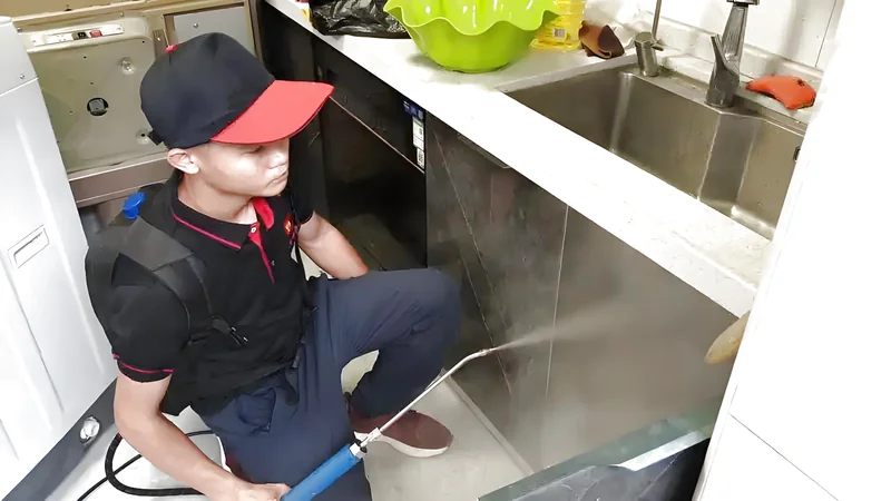 Dịch vụ diệt bọ chét