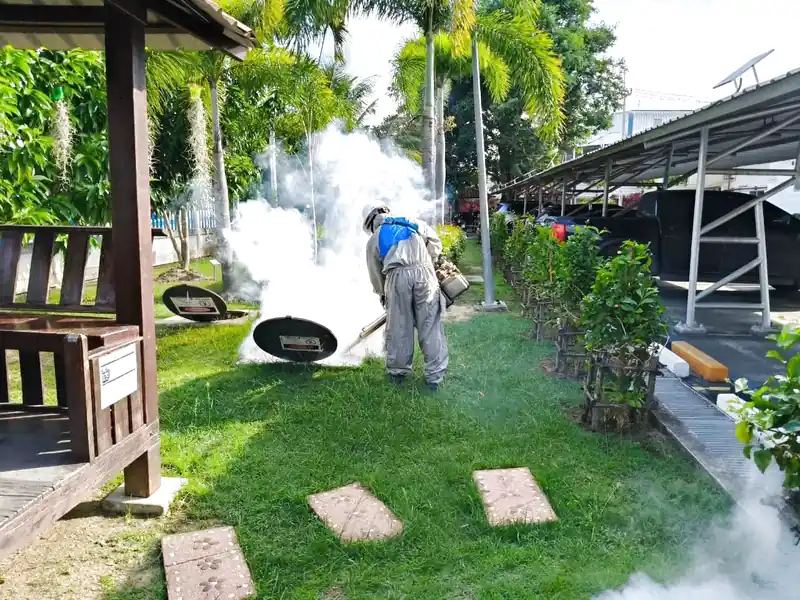 Diệt gián dưới cống