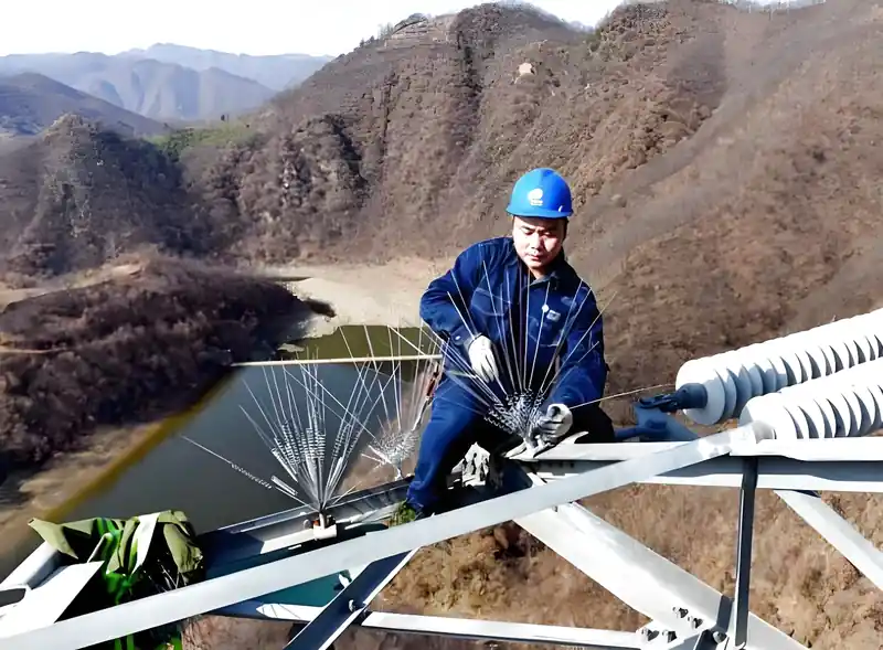 Lắp đặt thiết bị đuổi chim