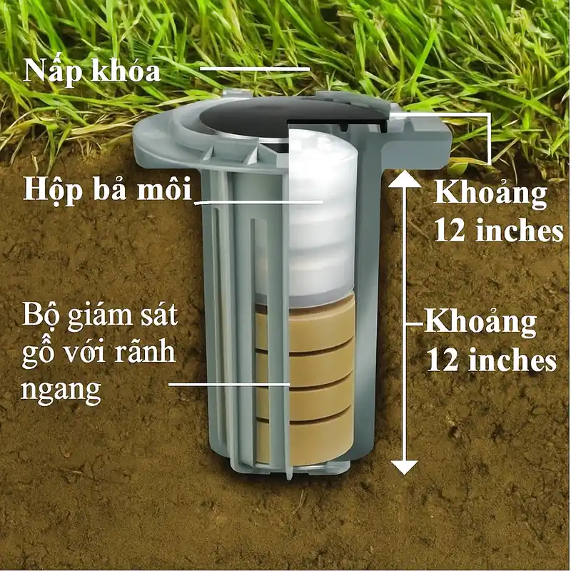 Trạm bẫy mối thông minh