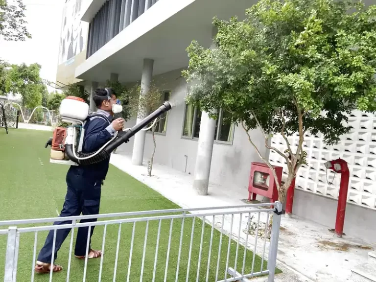 Diệt ruồi nhà trẻ
