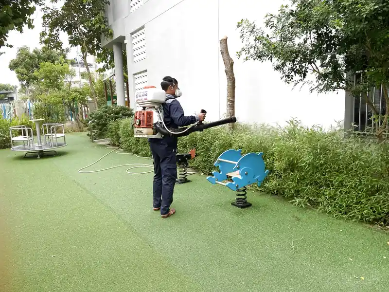 Diệt ruồi trường học