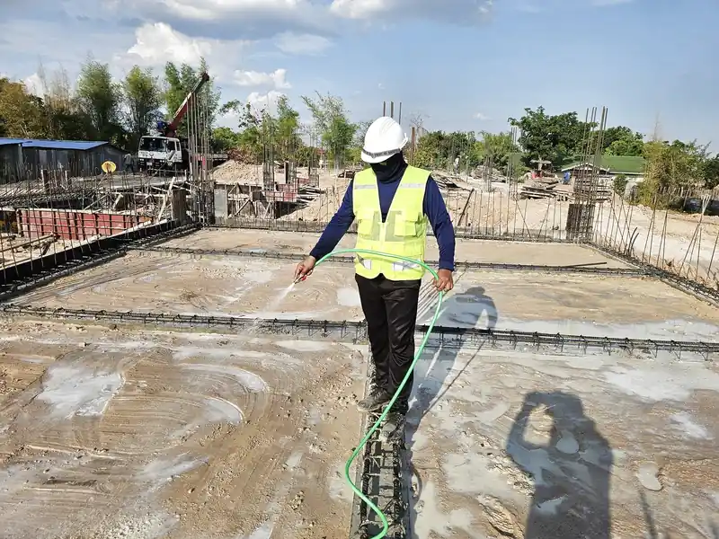 Dịch vụ phòng chống mối cho công trình