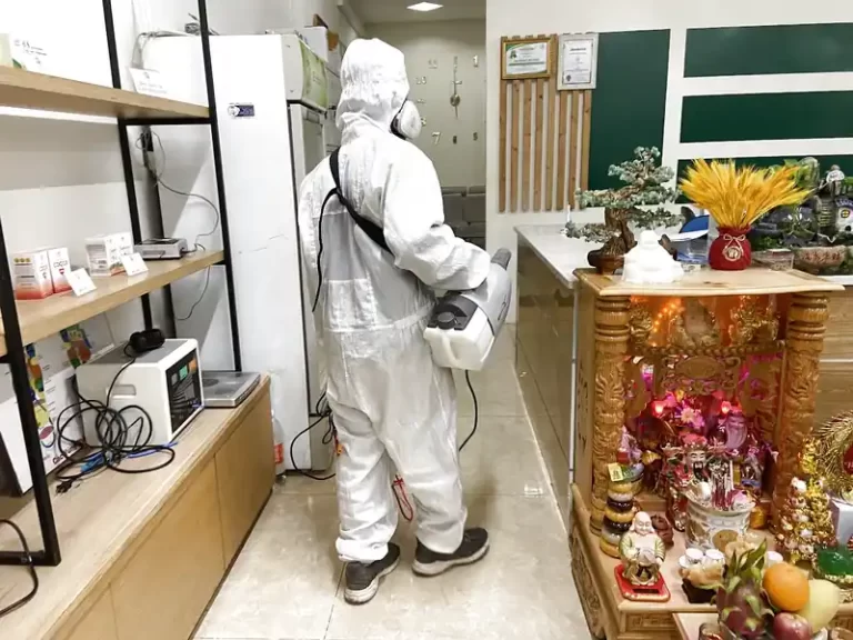 Dịch vụ diệt ruồi
