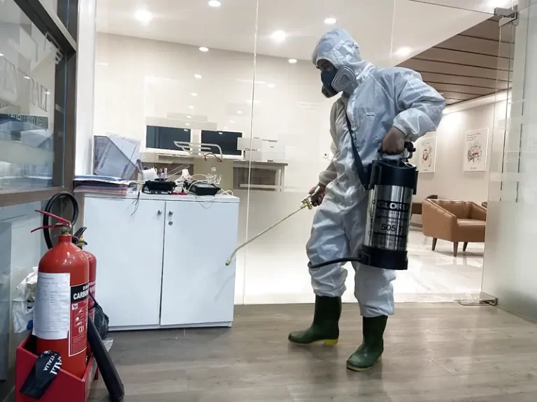 Dịch vụ diệt ruồi